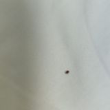 Хостел Дон, фото гостя