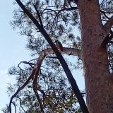 Гостевой дом Сельская Усадьба, фото гостя