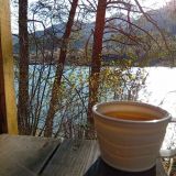 Гостевой дом Сельская Усадьба, фото гостя