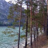 Гостевой дом Сельская Усадьба, фото гостя