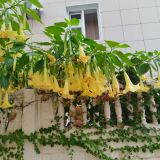 Гостевой дом Марта, фото гостя