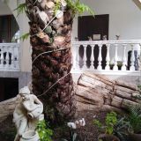 Гостевой дом Марта, фото гостя