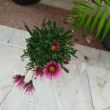 Гостевой дом Марта, фото гостя