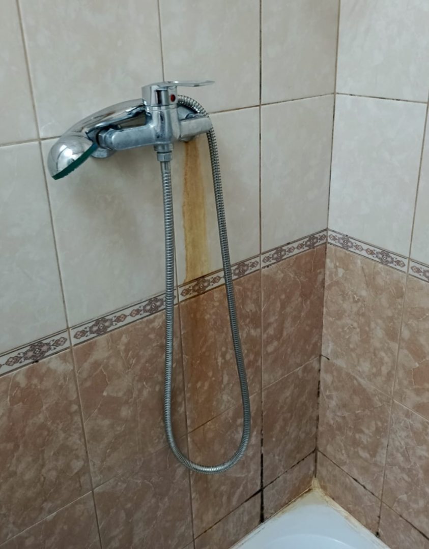 Tari, фото гостя