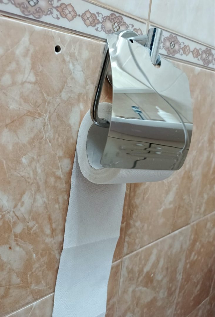 Tari, фото гостя