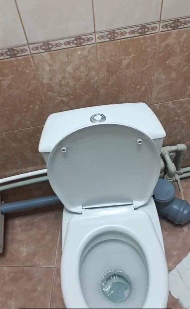 Tari, фото гостя