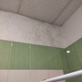 Хостел Амалиенау, фото гостя