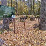 Зеленогорск, фото отдыхающего в октябре