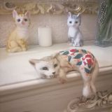 Меблированные комнаты Старый КОТ, фото гостя