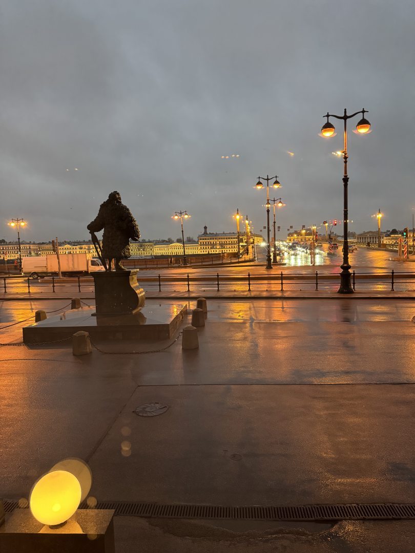 Дворец Трезини, фото гостя
