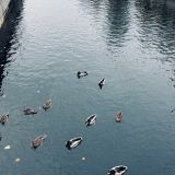 Санкт-Петербург, фото отдыхающего в октябре