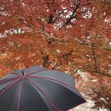 Краснодарский край, фото отдыхающего в октябре