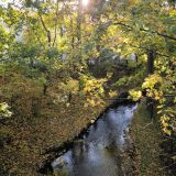 Калининград, фото отдыхающего в октябре