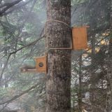 Отель Dombay Winter Hall, фото гостя