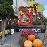 Апартаменты Северин, фото гостя