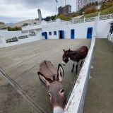 Отель Porto Mare, фото гостя