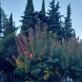 Отель Porto Mare, фото гостя