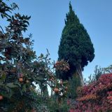 Отель Porto Mare, фото гостя