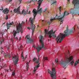 Отель Porto Mare, фото гостя