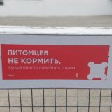 Отель Porto Mare, фото гостя