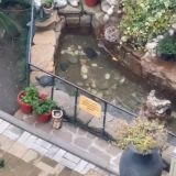 Гостевой дом ПАРАДИЗ, фото гостя