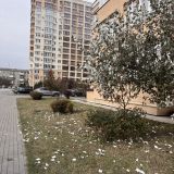 Апартаменты Unique Apart на Мичурина около Парка Ангелов, фото гостя