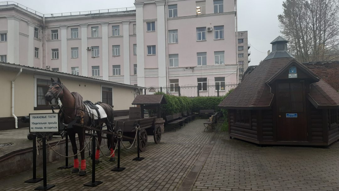 365 SPB, фото гостя