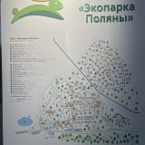 Экопарк Поляны, фото гостя