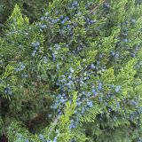 Пансионат София, фото гостя