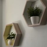 Отель Саквояж впечатлений, фото гостя