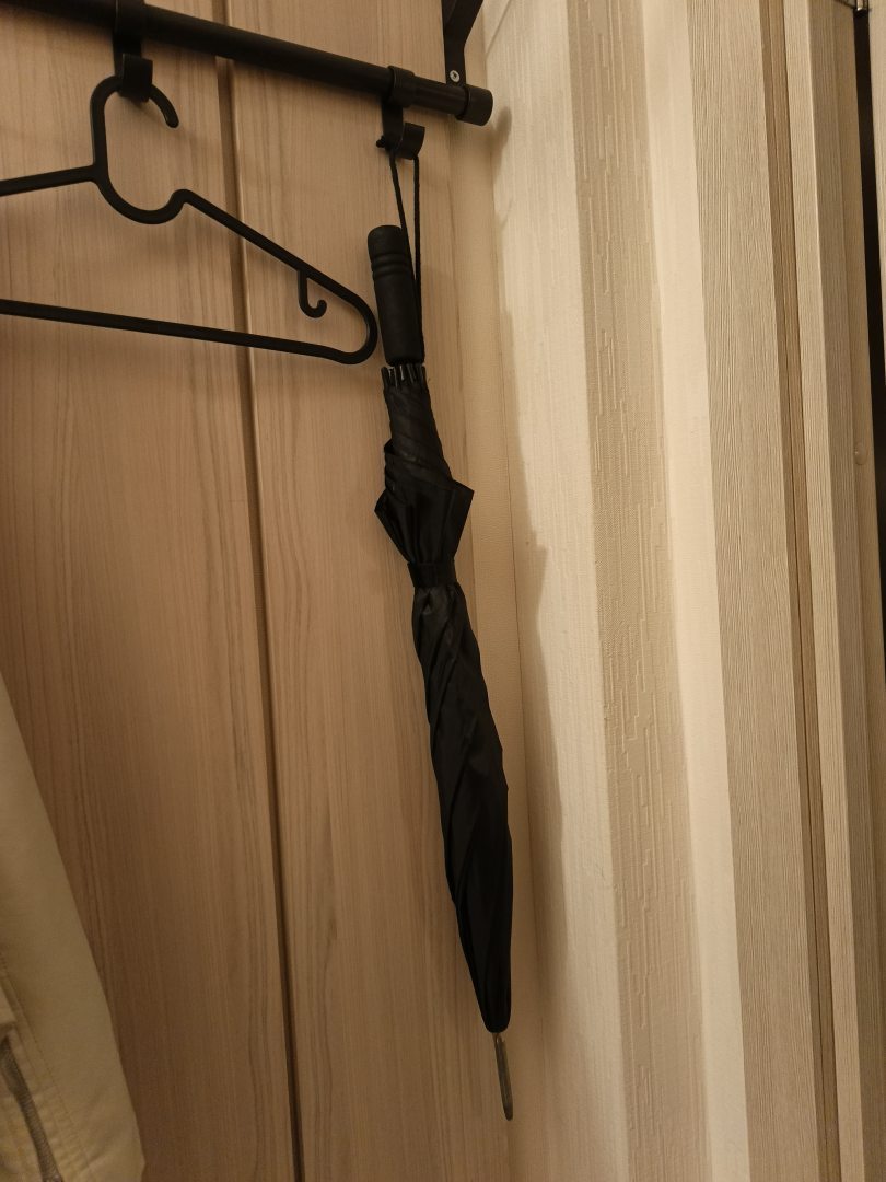 BSV Pulkovo, фото гостя