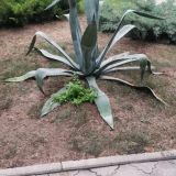 Пансионат Астра-центр, фото гостя