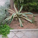 Пансионат Астра-центр, фото гостя