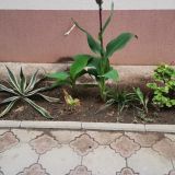 Пансионат Астра-центр, фото гостя