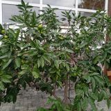 Сочи, фото отдыхающего в октябре