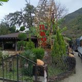 Сочи, фото отдыхающего в октябре