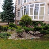 Гостиница Губернская, фото гостя