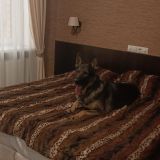 Гостевой дом Щедрино, фото гостя