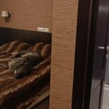 Гостевой дом Щедрино, фото гостя