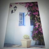 Гостевой дом Александрия, фото гостя