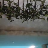 Отель Премьер, фото гостя