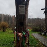 Парк-Отель Берендеевка, фото гостя