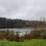 Парк-Отель Берендеевка, фото гостя