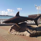 Пансионат Кавказ, фото гостя