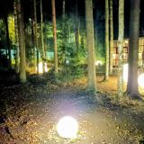 Загородный отель Комарово, фото гостя