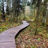 Загородный отель Комарово, фото гостя