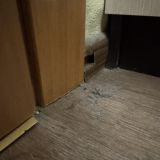 Гостевой дом Геральда на Невском, фото гостя