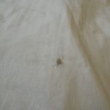 Гостевой дом Геральда на Невском, фото гостя