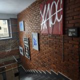 Апарт-отель Freedom, фото гостя