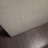 Апартаменты Уютная студия в ЖК Две Столицы, фото гостя